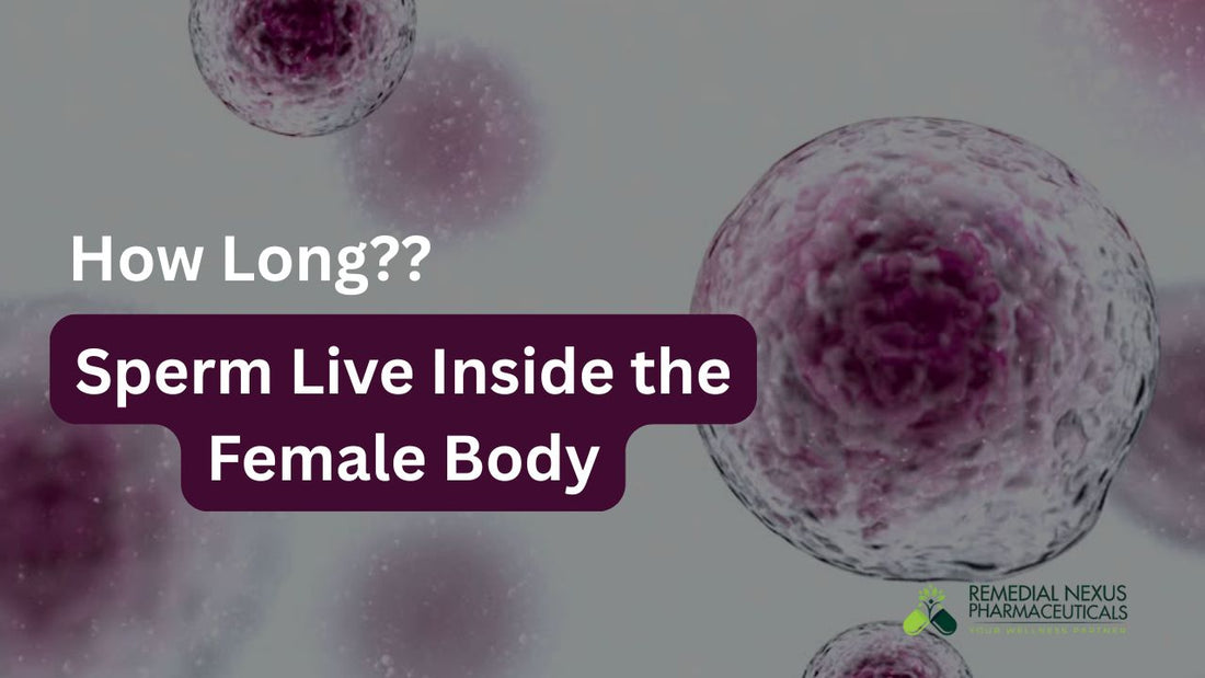 How Long Can Sperm Live Inside the Female Body to Cause Pregnancy