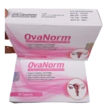 OvaNorm - Image 3